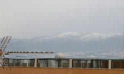 januar 2010 am Ballermann  100 