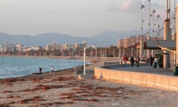 januar 2010 am Ballermann  101 