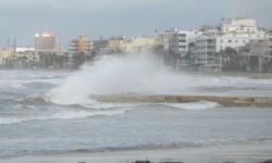 januar 2010 am Ballermann  95 