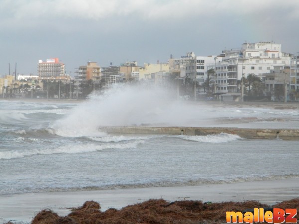 januar 2010 am Ballermann  95 