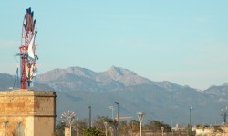 januar 2010 am Ballermann  98 