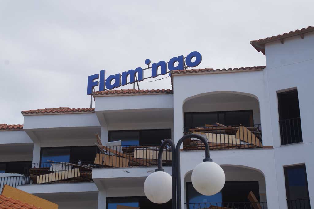 festival - flamingo